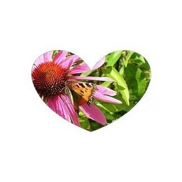 Bed and Breakfast + Hofläderli Zihlhof Demeter