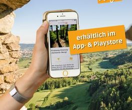 Wochenblatt to go App, Singener Wochenblatt