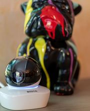 Hamelin Sarl image 16