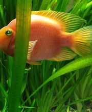 Zahnarztpraxis Auerswald Bild 5