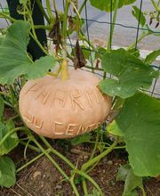 Pharmacie Du Centre image 2