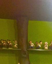 Area Sellasturex imagen 6