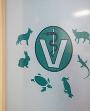 Tierarzt Welden, Tierarztpraxis Welden Bild 10