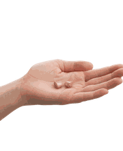 Audition du Léman Bild 2