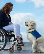 Assurances Loriot image 5