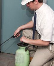 Hygiène et Dératisation d'Auvergne image 4