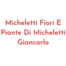 Micheletti Fiori E Piante Di Micheletti Giancarlo logo