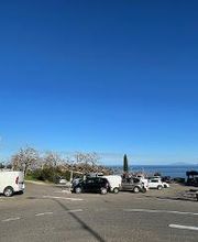 GMF Assurances image 5