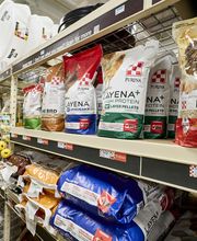 Product Shot: Chicken/Animal Feed