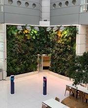 Savi PAYSAGE image 5