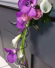 Cosy Garden image 12