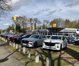 Autohaus König Frankfurt/Oder Bild 4