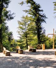FriedWald Starzach Bild 7