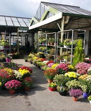 Art Fleurs et Jardins image 3