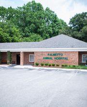 Palmetto Animal Hospital image 7
