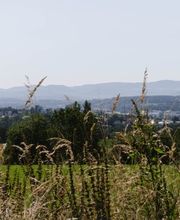 Vom Waldrand aus ergeben sich schöne Ausblicke in die Landschaft.