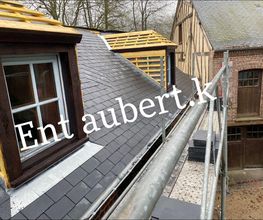 Ent Aubert K image 10