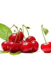 Fotograf für Unternehmen - Jan Gutzeit | Business Fotograf in Dresden & Umgebung