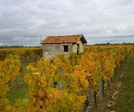 Giraud SARL image 6