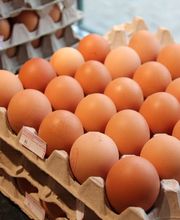 Bio Hofladen Overesch Bild 7