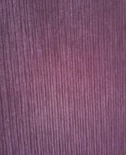 Maler Bleiker Bild 2