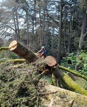 SARL Justin Henoux image 1
