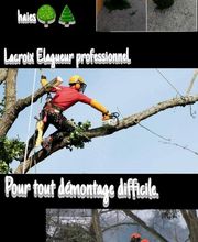 Lacroix David image 14