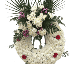 13506654-2-j1ko3EBtaL1701194907241.png