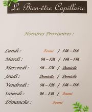 Le Bien Etre Capillaire image 4