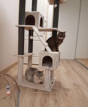 Pattenrond & Cie image 6