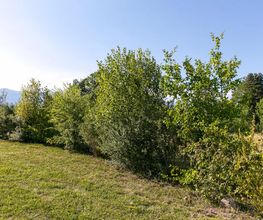 Nicolas Varidel Nature+Jardins Bild 4