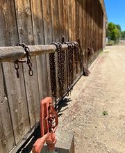 Jacobs Berry Farm image 14