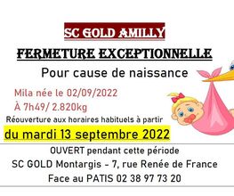 SC GOLD image 1