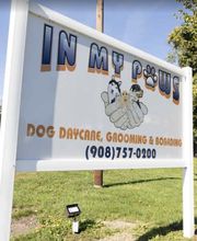 In My Paws image 10
