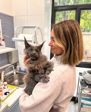 Vet Village - Policlinico Veterinario e Pronto Soccorso h24 immagine 15