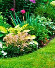354652-jardineria-casanova-banner.jpg