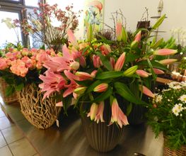 Rosanella Blumen Bild 2