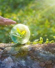 Serqual consultoría imagen 7