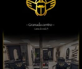 233938554-1-5ITdPTkSbp1707487720330.jpeg