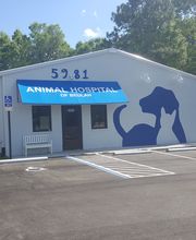 Animal Hospital of Beulah image 2