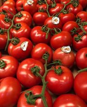 Karl Haegeli Erben AG Bild 1