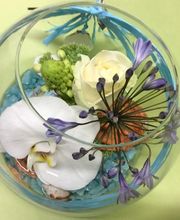 Efflorescence image 12