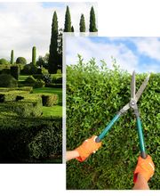 Bouvier Paysage Service image 1