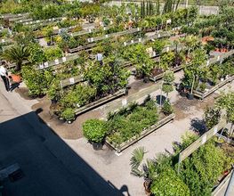 Jardiland image 7