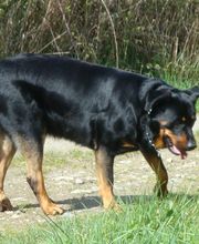 Leprat Sonia image 6