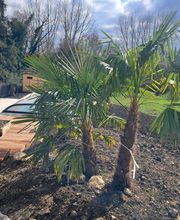 Escapade Paysage image 2