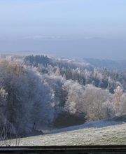 Fourgoux Auvergne Bois image 14