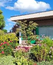 Frey Gartenbau GmbH & Co. KG Bild 10