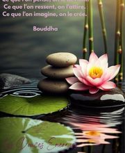 Les Douces Énergies image 2