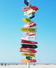 Séverine Dewarez image 7